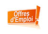 Back-Office B2B Offres d'emploi : Orange Guinée recrute un infographe