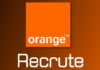 Offres emploi : Auditeur Interne IT Senior Opportunité d'emploi : Ingénieurs Développeurs