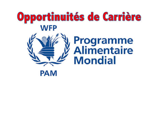 Opportunité de Carrières : Assistant aux opérations IT & Telecom Opportunité de Carrières : Assistant aux opérations IT & Telecom