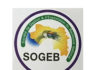 GUINEE : A quand la mise en service du Backbone National ? Guinée : Lancement commercial du Backbone national à Fibre optique