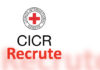 Offres d’emploi : Conseiller stratégique en technologie Offres d'emploi : Conseiller stratégique en technologie