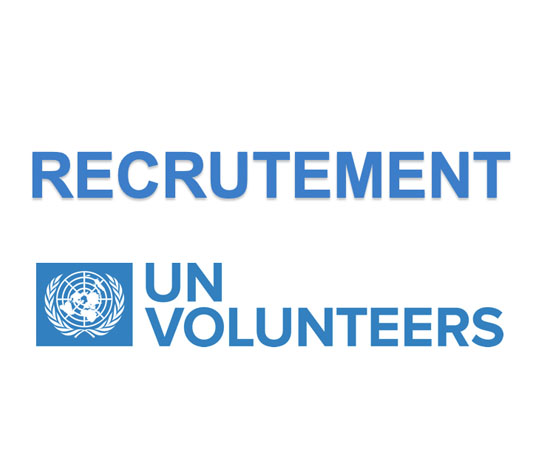Offres d'emploi : Assistant innovation et technologie Offres d'emploi : Assistant Informatique