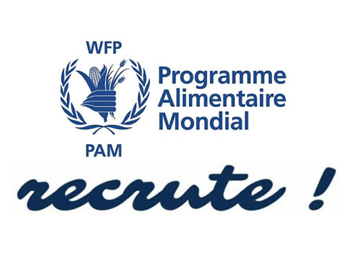 Offres d'emploi : Consultant, Responsable des télécommunications Offres d'emploi : Consultant, Responsable des télécommunications