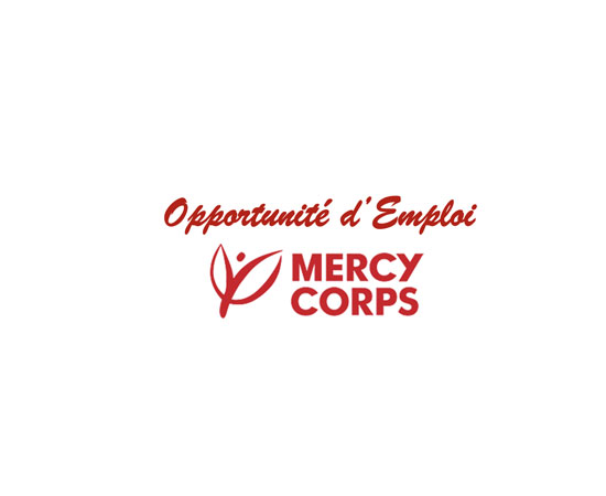 Offres d'Emploi : Officier (ère) Senior- Technologies de l'Information et de la Communication (ICT), Offres d'Emploi : Officier (ère) Senior- Technologies de l'Information et de la Communication (ICT),