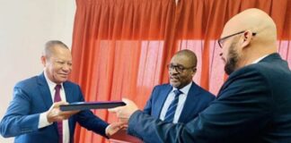 Le Togo et le Gabon concluent un accord sur la suppression des frais du roaming
