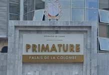 Guinée : le gouvernement dans la dynamique d’une solution définitive pour résoudre la crise énergétique, selon son porte-parole