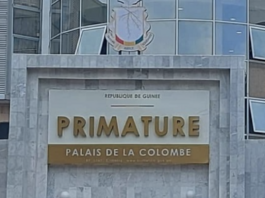 Guinée : le gouvernement dans la dynamique d’une solution définitive pour résoudre la crise énergétique, selon son porte-parole