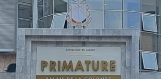 Guinée : le gouvernement dans la dynamique d’une solution définitive pour résoudre la crise énergétique, selon son porte-parole