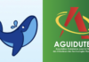 DECLARATION DE L’ASSOCIATION GUINEENNE POUR LA DEFENSE DES UTILISATEURS DES TECHNOLOGIES NUMERIQUES (AGUIDUTEN) SUITE AU LANCEMENT DE KULU